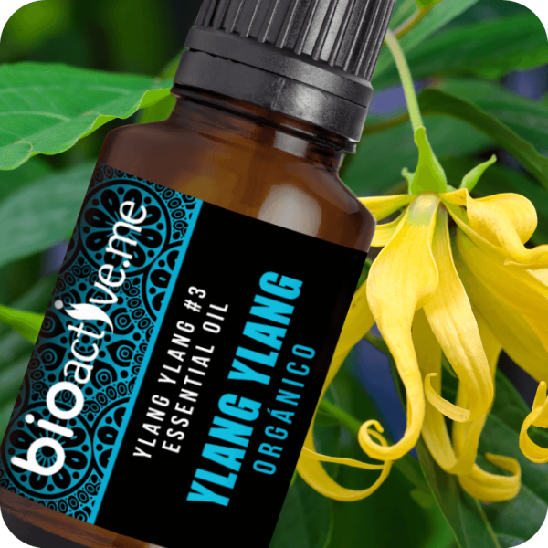 AE YlangYlang 1